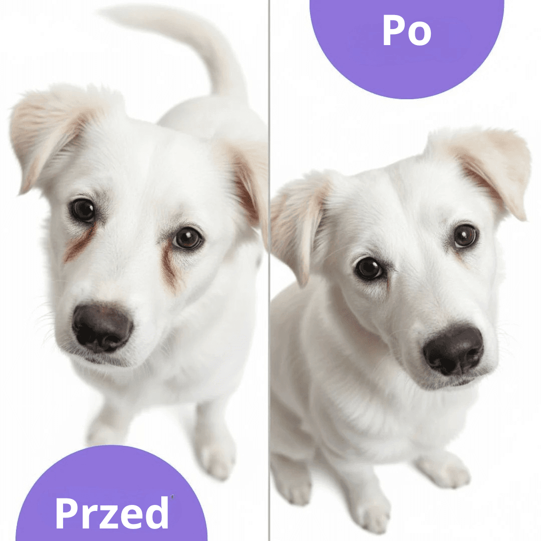 Usuwa ropę i zacieki zanim staną się problemem