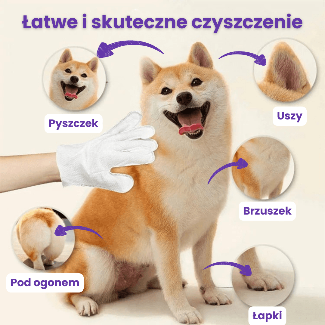 Mniej wizyt u groomera