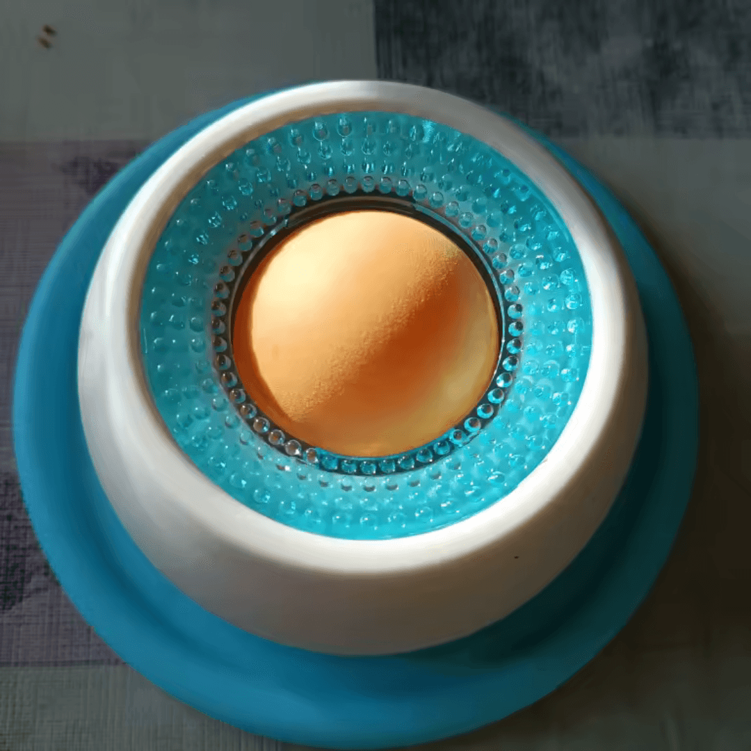 Katarzyna Wiśniewska