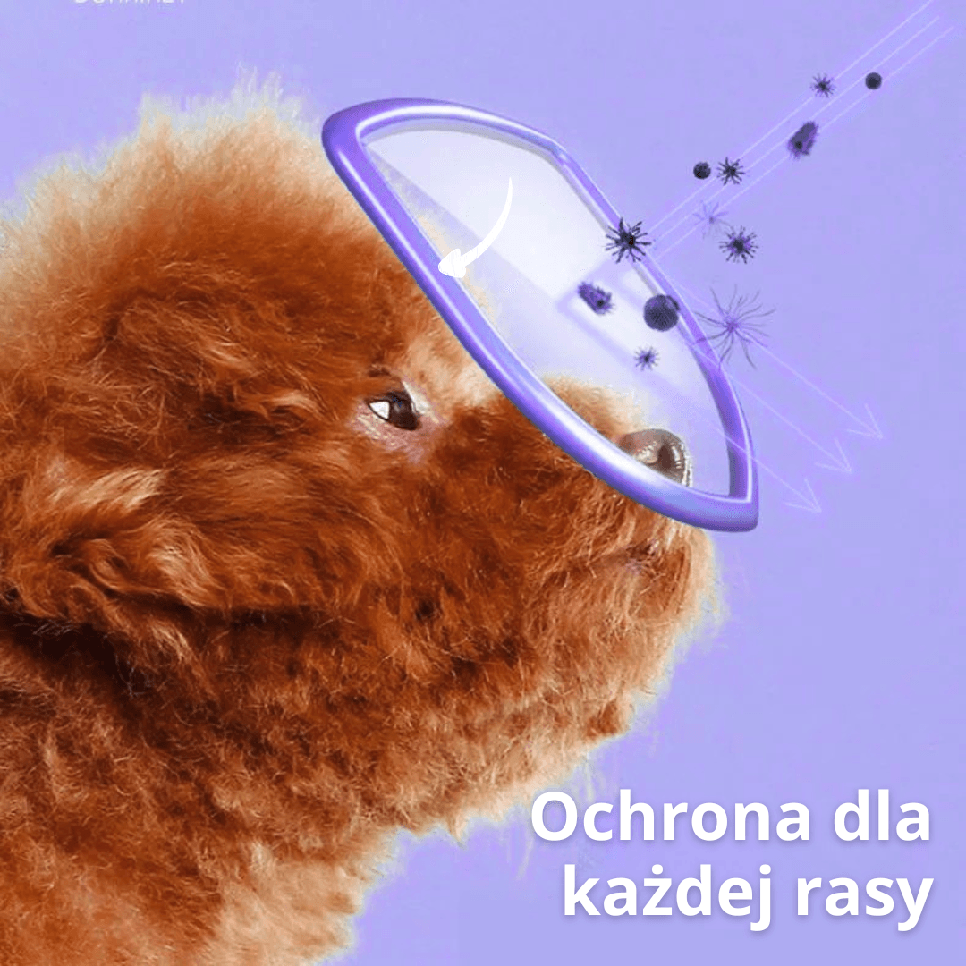 Pielęgnacja z działaniem antybakteryjnym