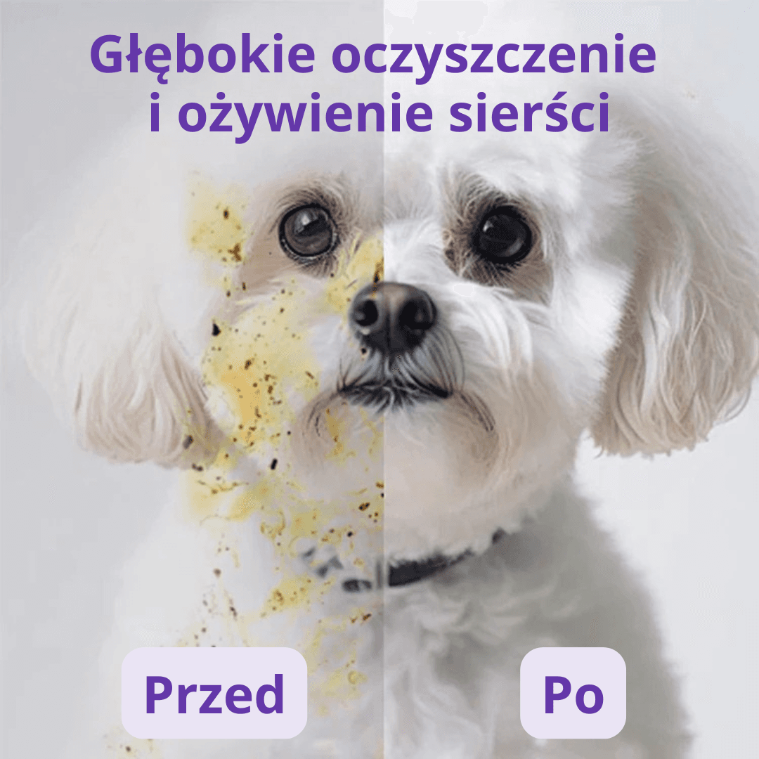 PawSpa Glove- mycie psa w 2-3 minuty