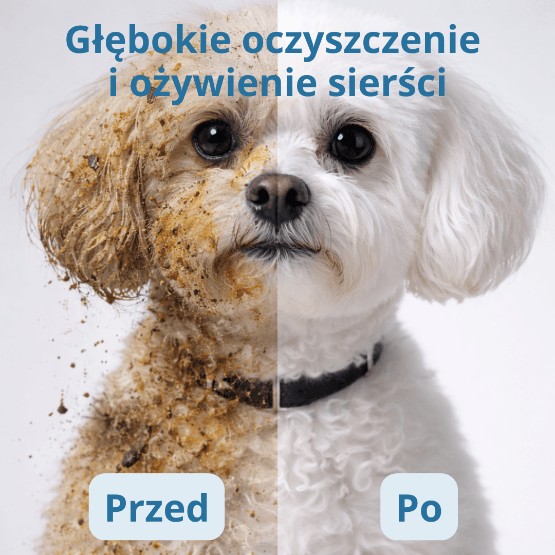 PawSpa Glove- rękawiczki jednorazowe pielęgnacyjne (6szt.)