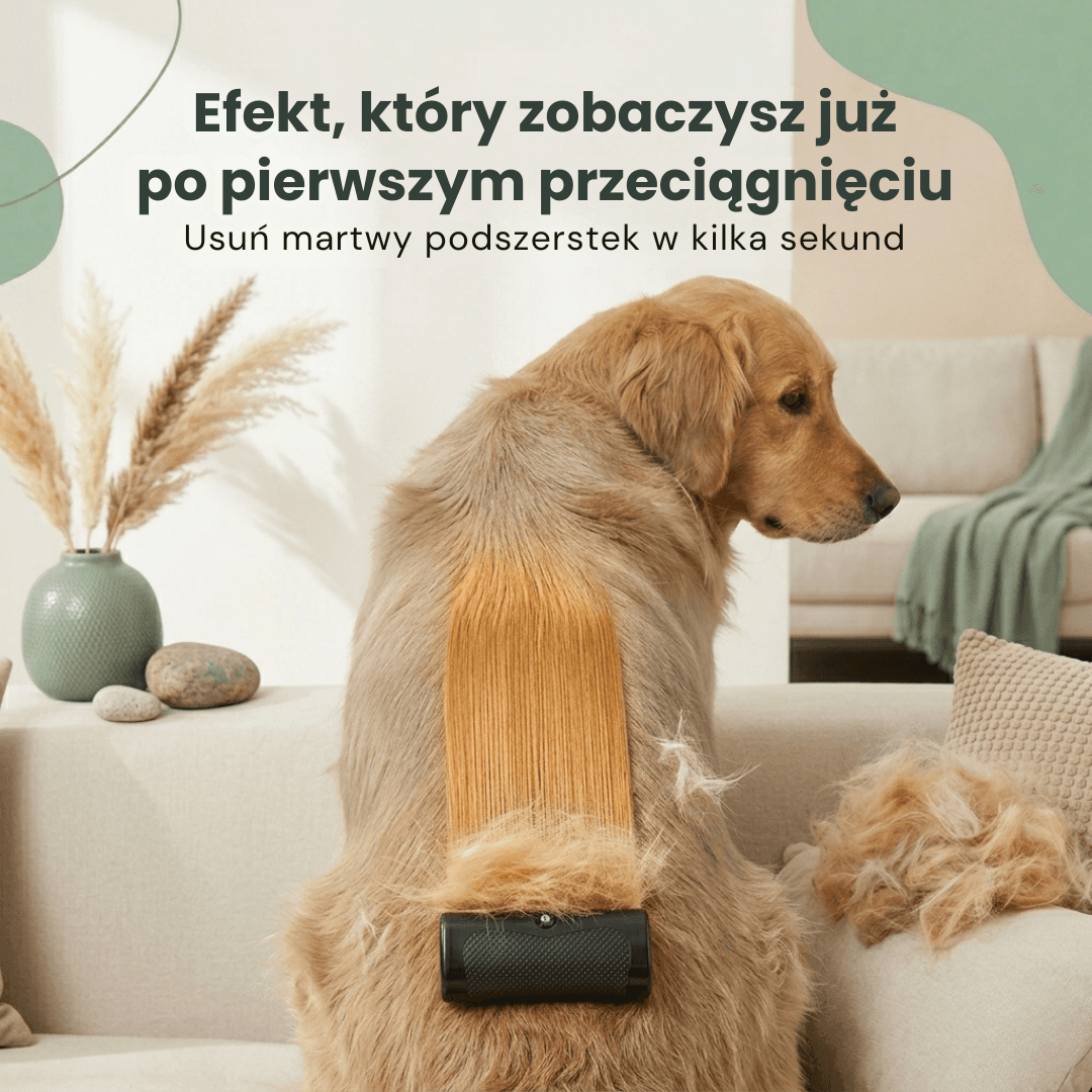 ShavZero - szczotka dla psów w technologii NickFree usuwa 99% luźnego futra
