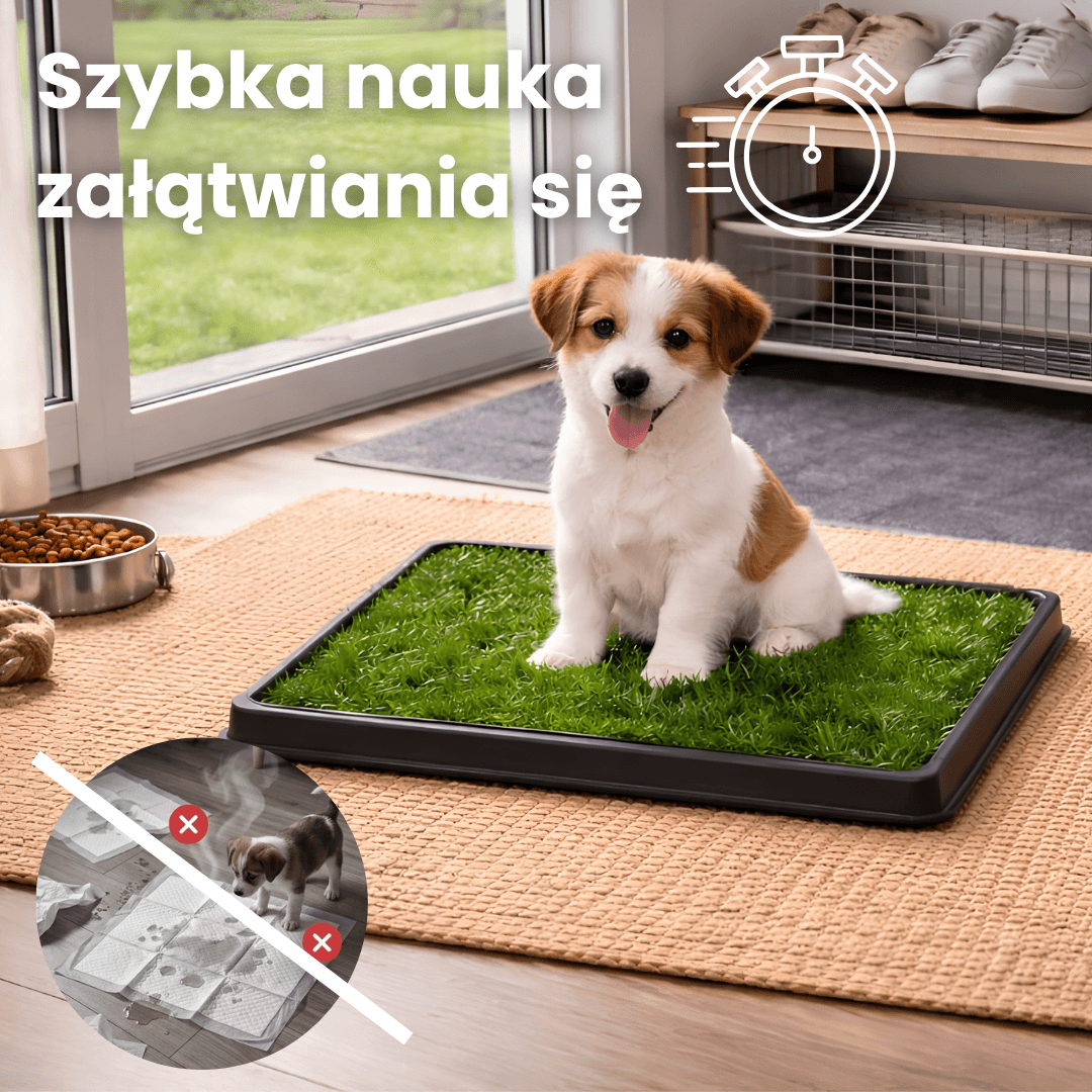 PupiSpot - System treningu czystości dla psów i szczeniąt do użytku domowego