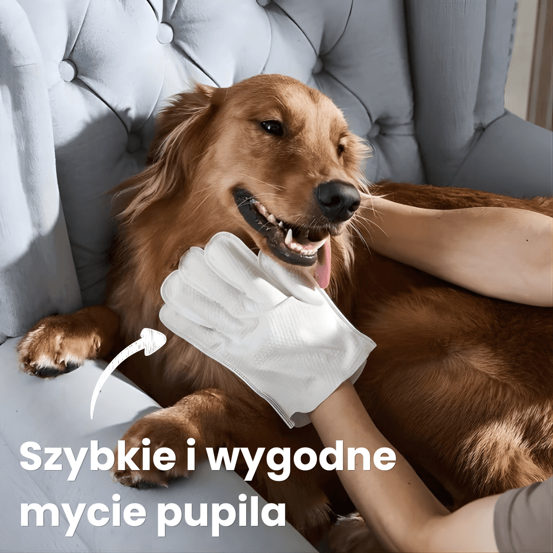 PawSpa Glove- mycie psa w 2-3 minuty
