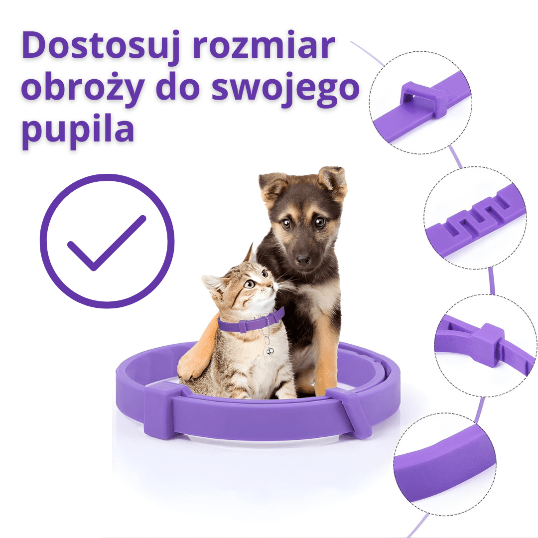 Calmora – uspokajająca obroża dla twojego psa lub kota