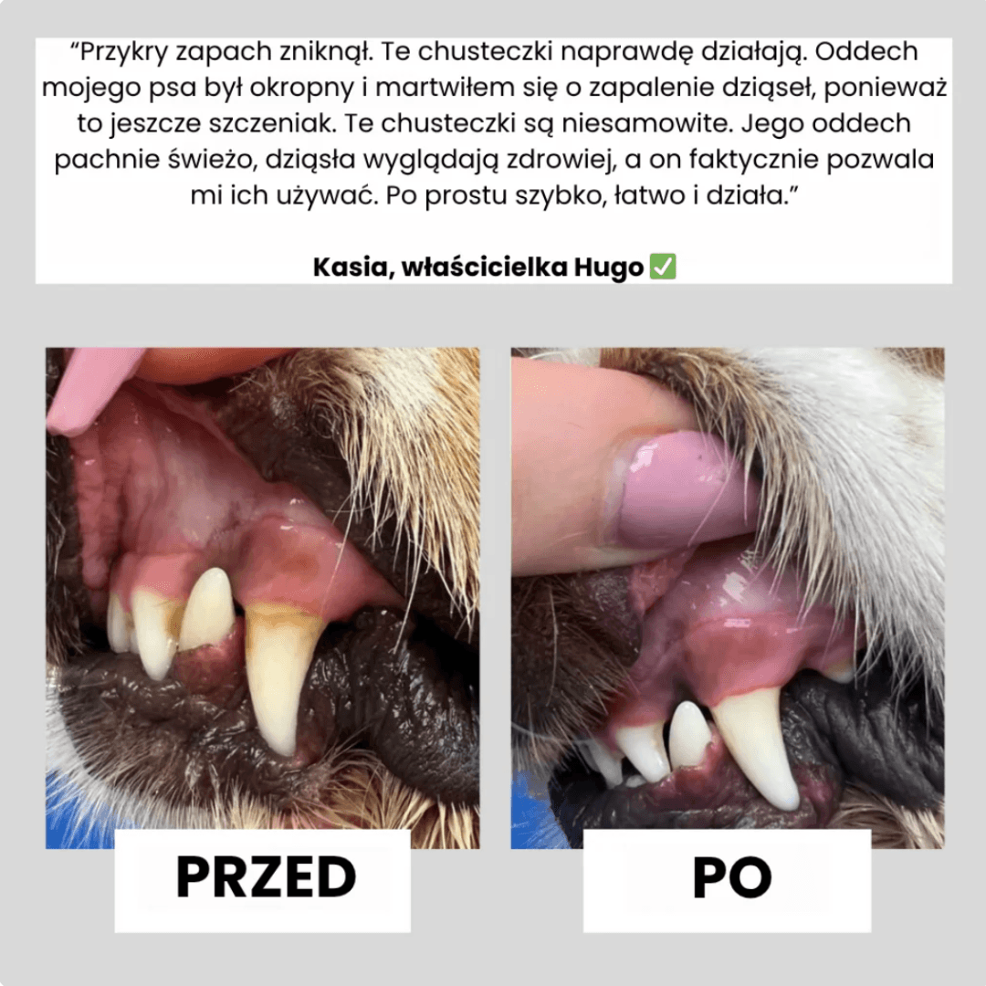 Damero - chusteczki do higieny jamy ustnej zwierząt (50szt.)