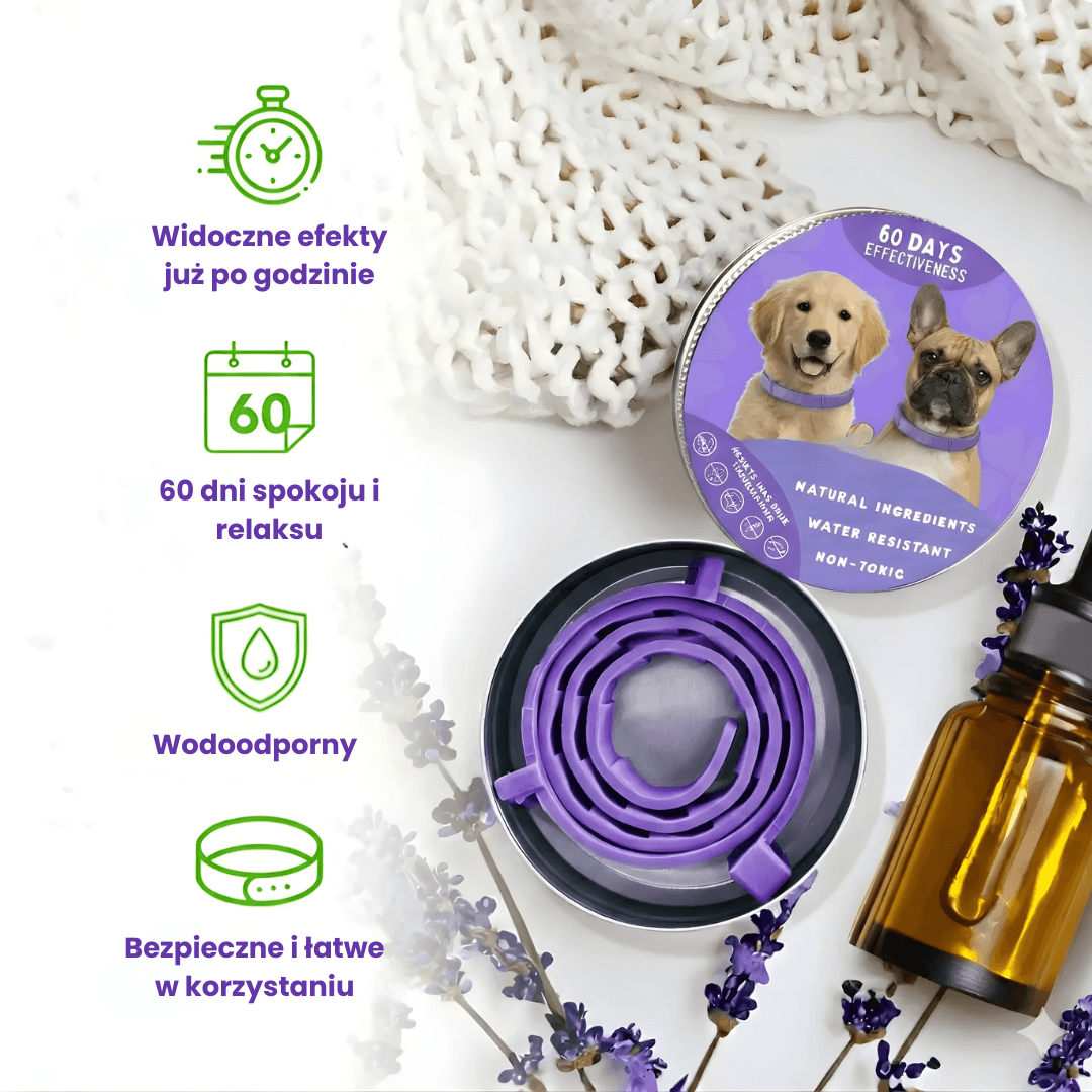 Calmora – uspokajająca obroża dla twojego psa lub kota