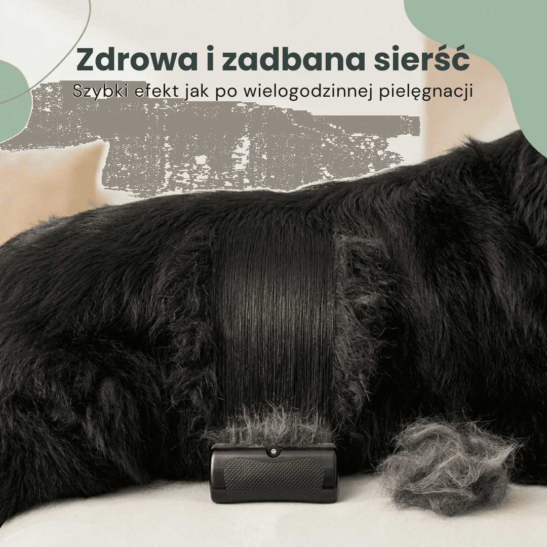 ShavZero - szczotka dla psów w technologii NickFree usuwa 99% luźnego futra