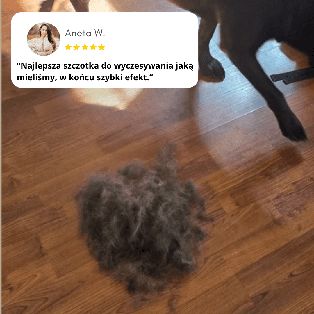 ShavZero - szczotka dla psów w technologi NickFree usuwa 99% luźniego futra