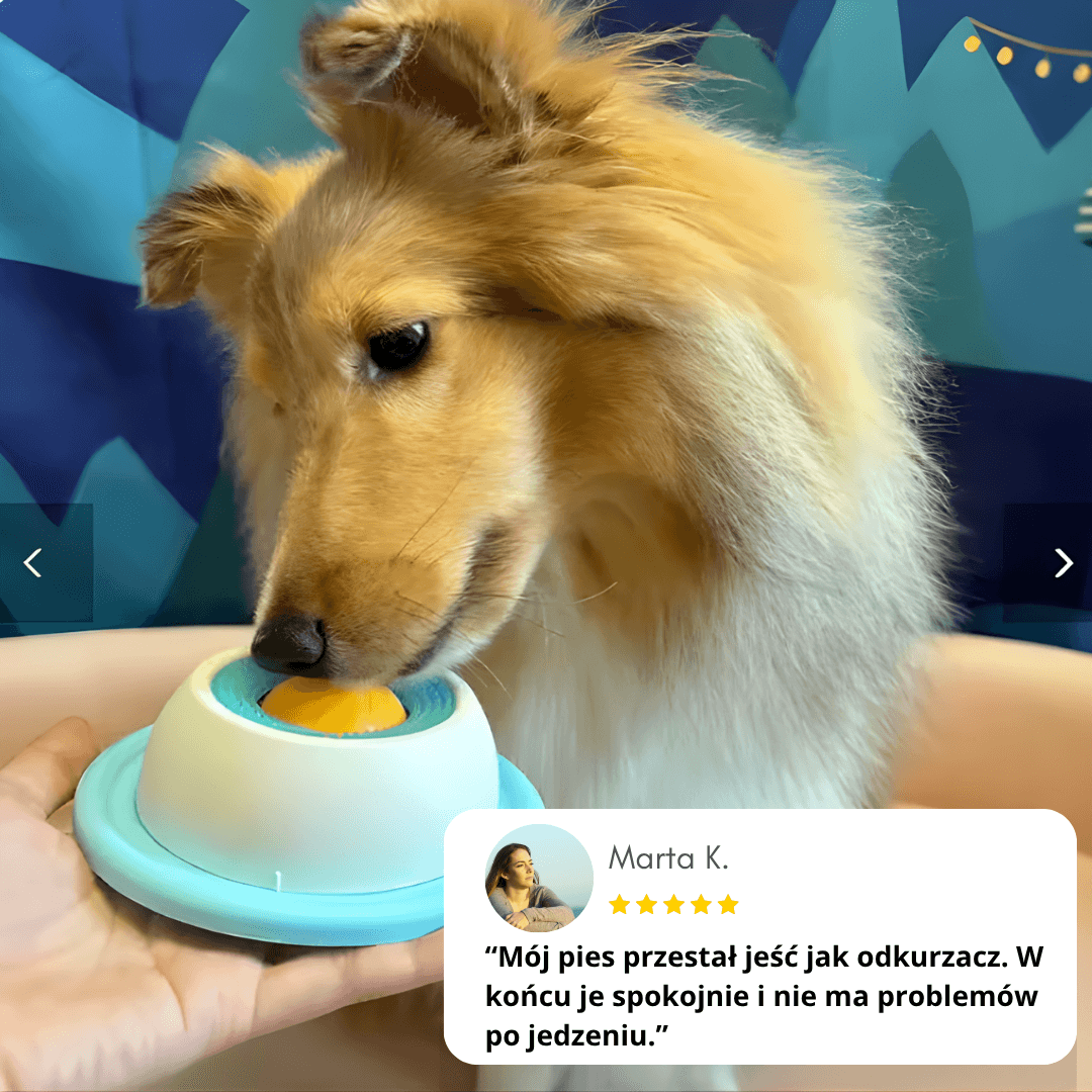 CalmBite – kulka lizak dla spokojnego i zdrowego karmienia psa
