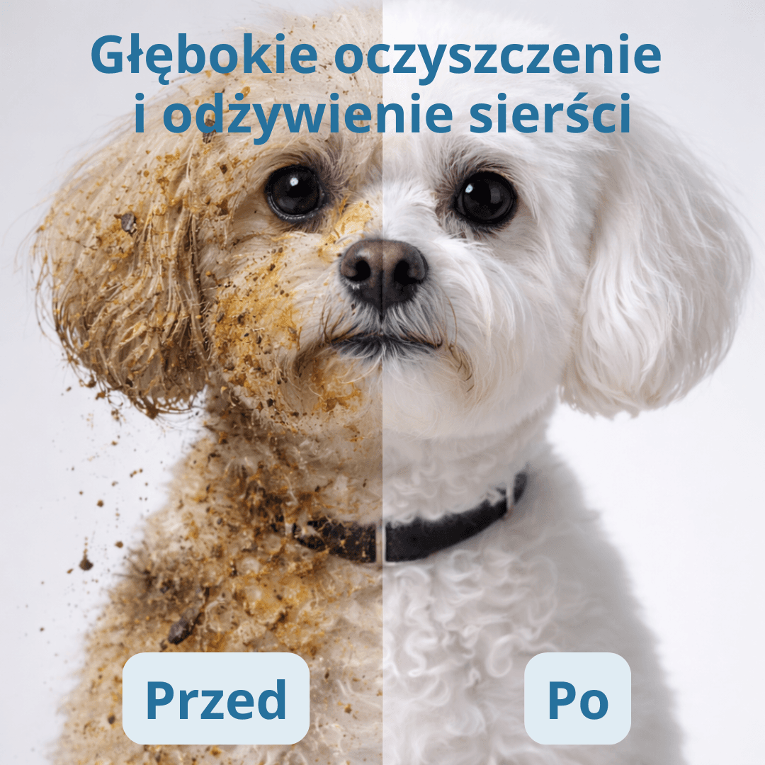 PawSpa Glove- rękawiczki jednorazowe pielęgnacyjne (6szt.)