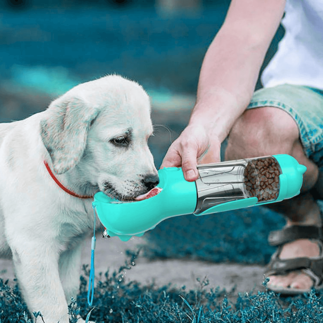 PawGo 3w1 Butelka 300ml dla psa i kota – wszystko, czego potrzebujesz na spacerze