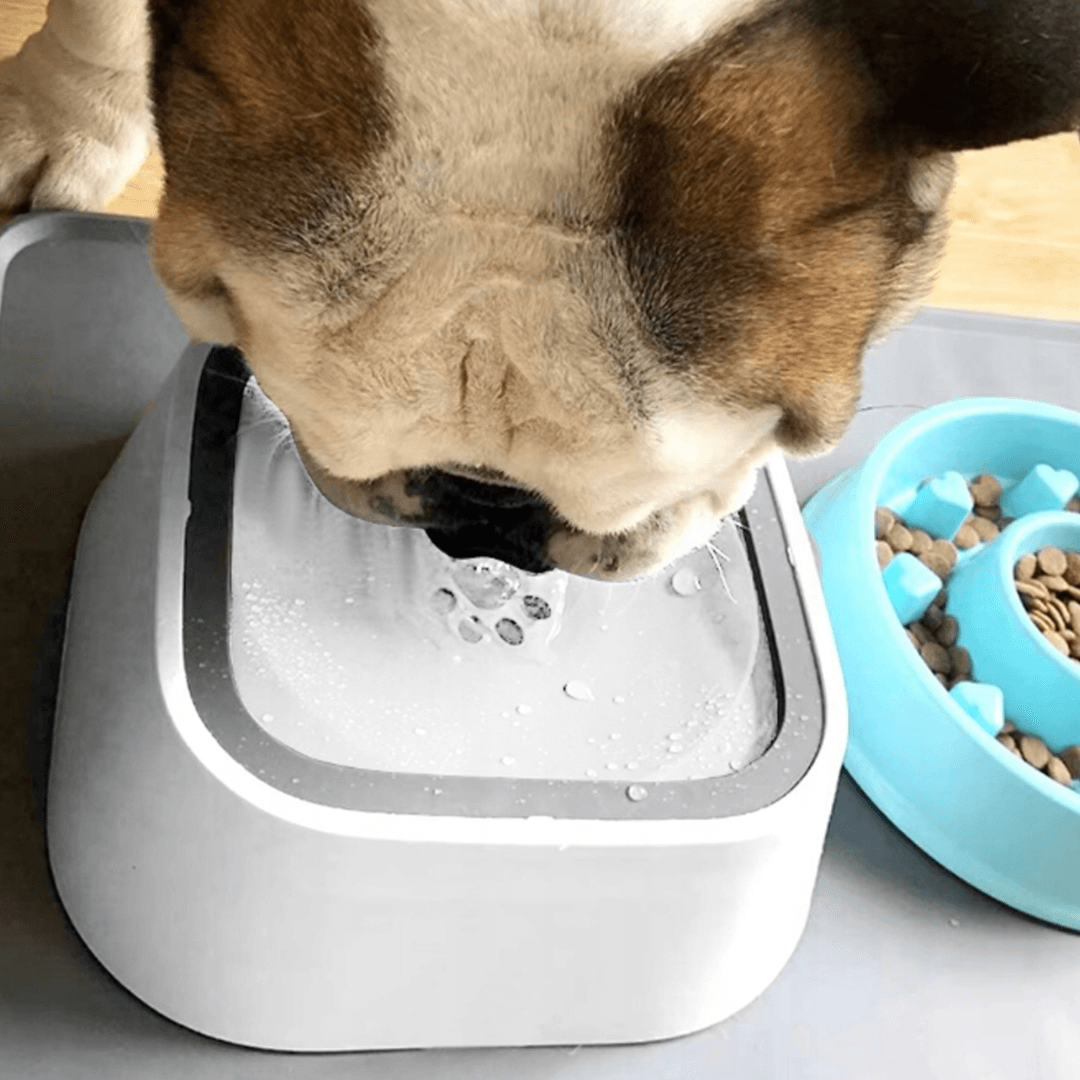 Niechlapek - zero zalanych podłóg miska antyrozbryzgowa 1,5L