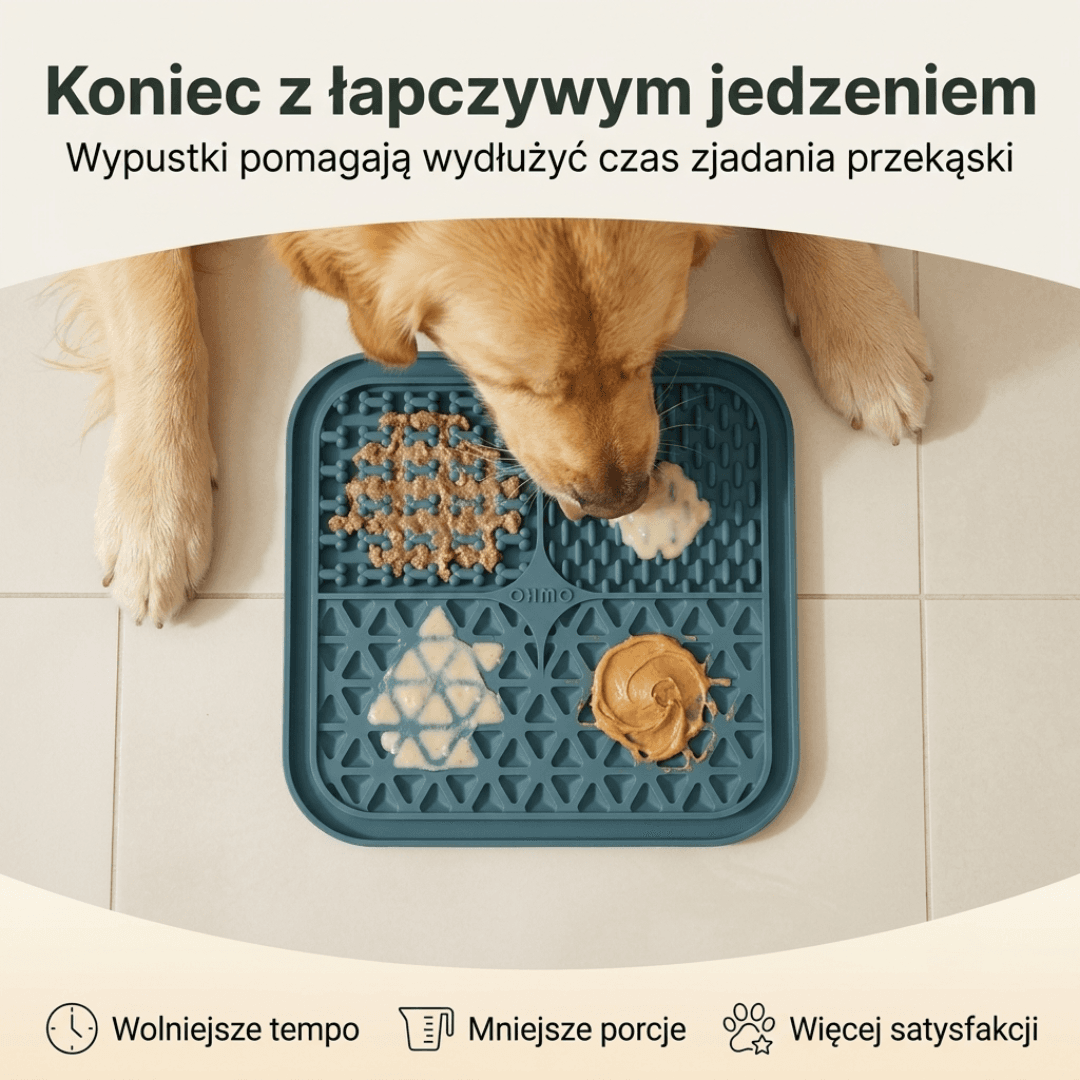 Mata zajmująca psa podczas czesania