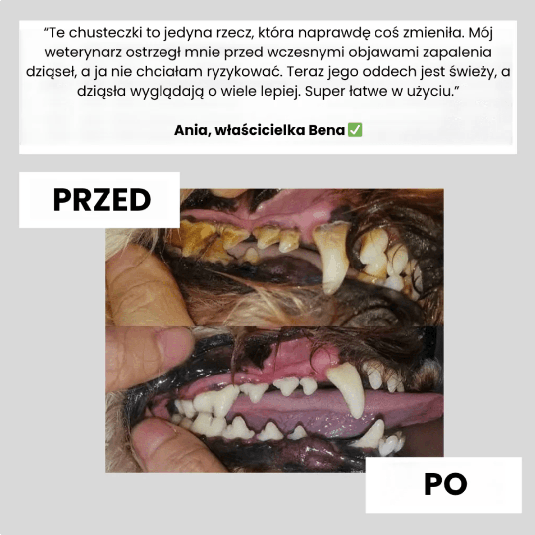 Damero - chusteczki do higieny jamy ustnej zwierząt (50szt.)