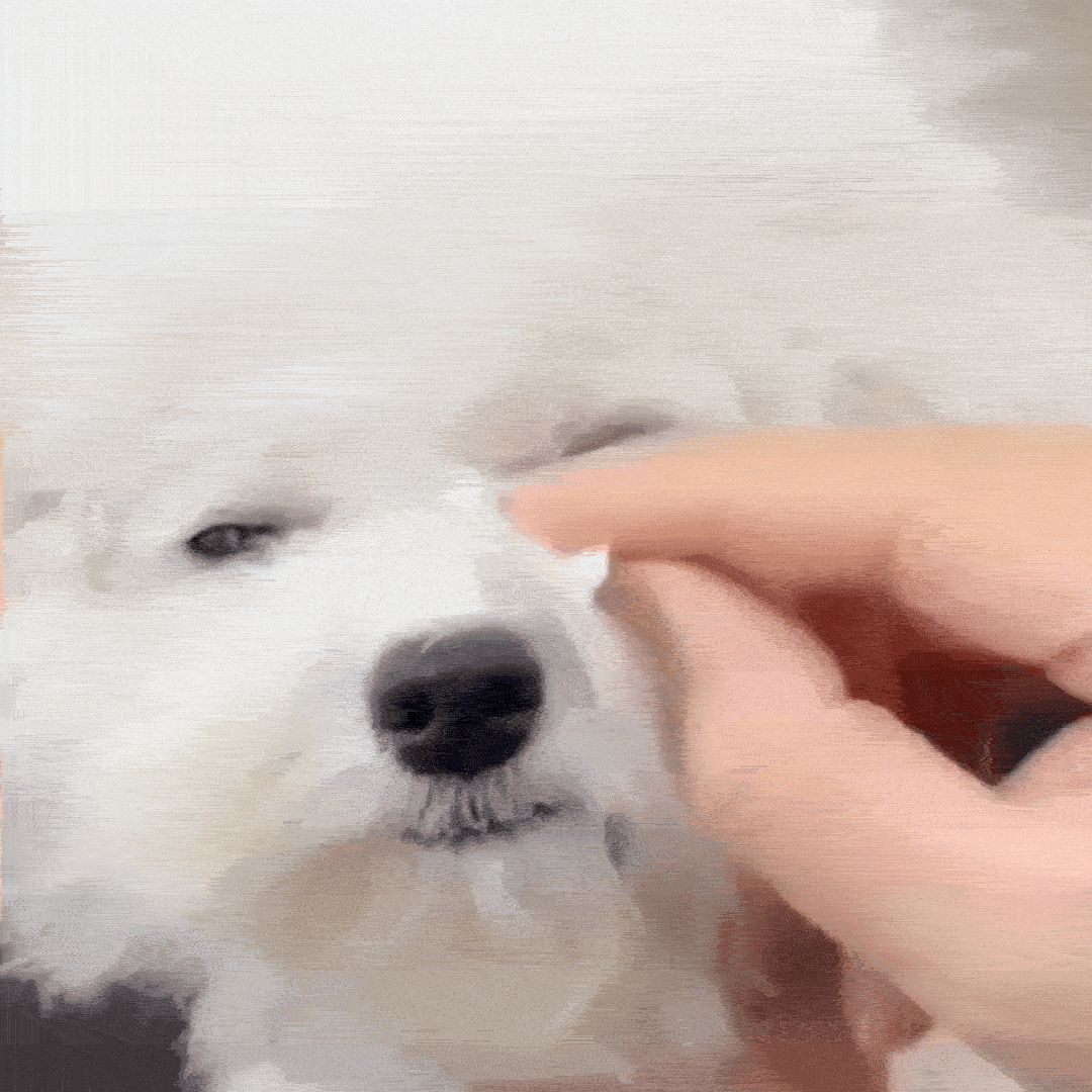 Czyste oczy psa w 30 sekund